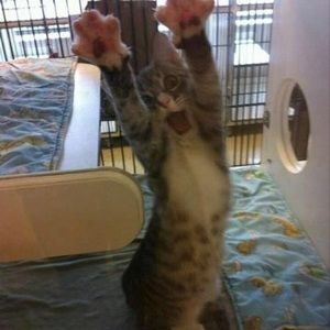 Meet your Posher, Leon